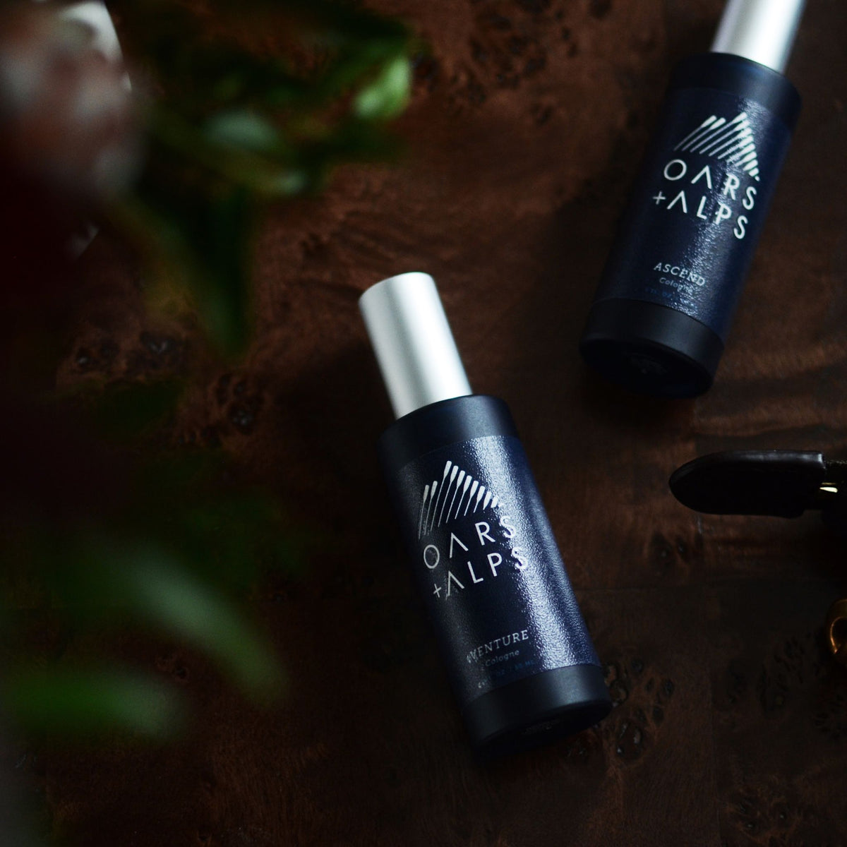 Travel Size Cologne Men's Travel Cologne Ascend Cologne